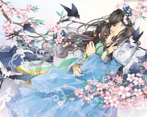 小车拉大马系列